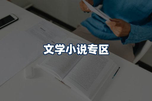 文学小说PDF展示
